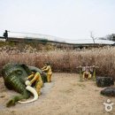 고운식물원 이미지