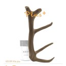 세방한의원 이미지