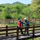 초막골 생태공원 이미지