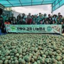 감자마을 이미지