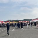 양포항 | 포항행사 장기 양포항산딸기축제 아기랑 즐긴 솔직후기