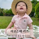 라코스테 키즈 베이비 폴로 바디수트 사이즈팁 무신사 구매