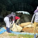 삼가축산 이미지