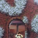 가자가자(GO GO) 이미지