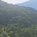 하늘을 읽은 천재의 고향, 장영실과학동산 이미지