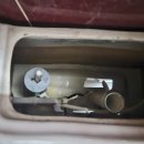 살구골서광·성지·동아·진덕 이미지