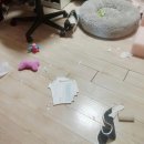 봉봉브라더스 네이버블로그
