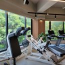 브라운짐 이미지