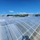 강정동-23 이미지