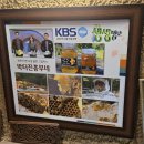 박터진 흥부네 이미지