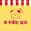 개키우는남자 강아지분양 대구본점 이미지