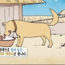 도토리 이미지