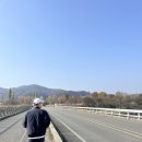 이화리 경로당(마을회관) | 올해도 왔다! 여주 강천섬 애견동반 나들이 / 주차 꿀팁