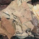 부산대순저씨 - 금정구 부산대학로64번길 36 | 부산대순저씨