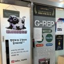 베이비샵 | 평택파충류 아이가 책임을 배우게 된 베이비파충류샵 후기