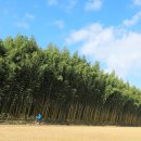 남가람 문화거리 이미지