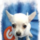 말티네 집 이미지