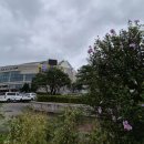 세종문화예술회관 이미지