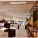 더위시컴퍼니 이미지