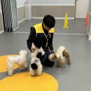 옐레드 문래역점 이미지