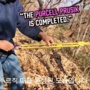 확보줄 Daum카페