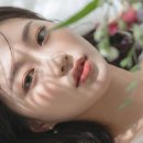 필 모션 이미지