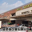 남촌농수산물시장(식자재동_1) | 인천 남촌농산물도매시장 정육코너 반려견 동반 방문기