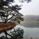 온마을축제) 힐링 입욕제 만들기(11:00~12:00) | ❄️ 겨울 제천 여행 1일차! 먹부림과 힐링의 완벽 코스 🎡🐟