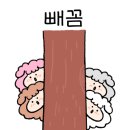 태인메디칼 이미지