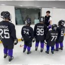 금메달공인중개사사무소 이미지