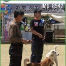 내가 처음 전람회 출전한날 2009년10월 퍼피조"태양" 이미지