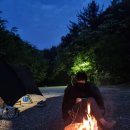 영덕식육점 | 영덕 캠핑장 숲속 아늑했던 칠보산캠핑장 후기