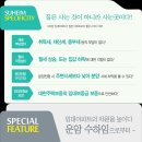 와이지 환경 개발