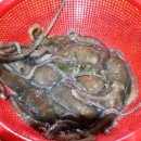 대명민박 이미지