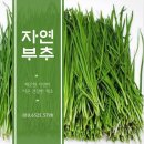 자연건강원 이미지