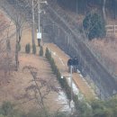 흔들리는 경호처…"尹체포 협조하자" 내부망에 이 글 떴다 이미지