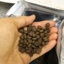 풍기동물병원 이미지