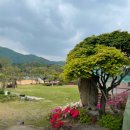 치악꽃밭머리펜션 이미지