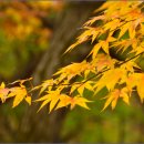 밤골샘터 이미지