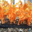 챔피온 노래연습장 이미지