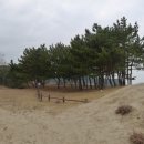 구례포해수욕장(주차장) 이미지