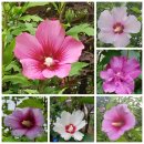 북서울요양병원 이미지