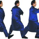 이찬태극권도관 동아일보