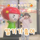 딸기가좋아신제주점 | 딸기가좋아 제주 키즈카페 제주 아기랑 가볼만한곳