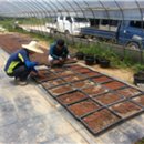 오가네 농장 이미지