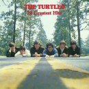 Happy Together / The Turtles 이미지