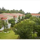 이디살래 이미지