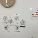 놀멍 | 직원들과 즐거운 단체사진 찍기, 제주 놀멍스튜디오 셀프스튜디오 체험기