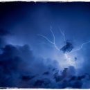 우성애 여성의원 이미지