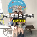 유익농장 | 싱가포르 아이와 함께 가볼만한곳 염소농장 헤이 데어리즈